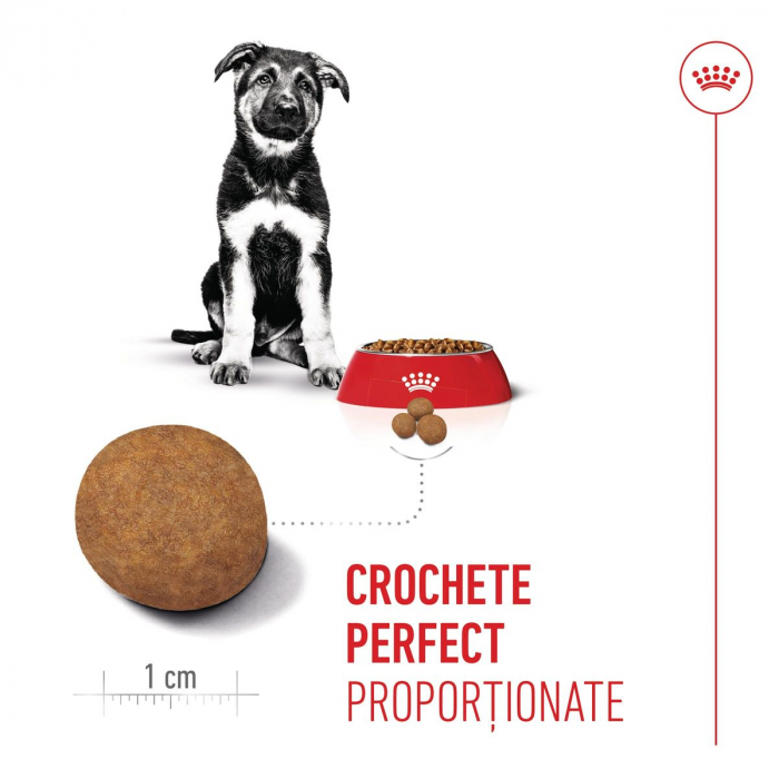 Royal Canin Maxi Puppy hrana uscata caini junior, 12kg [5]