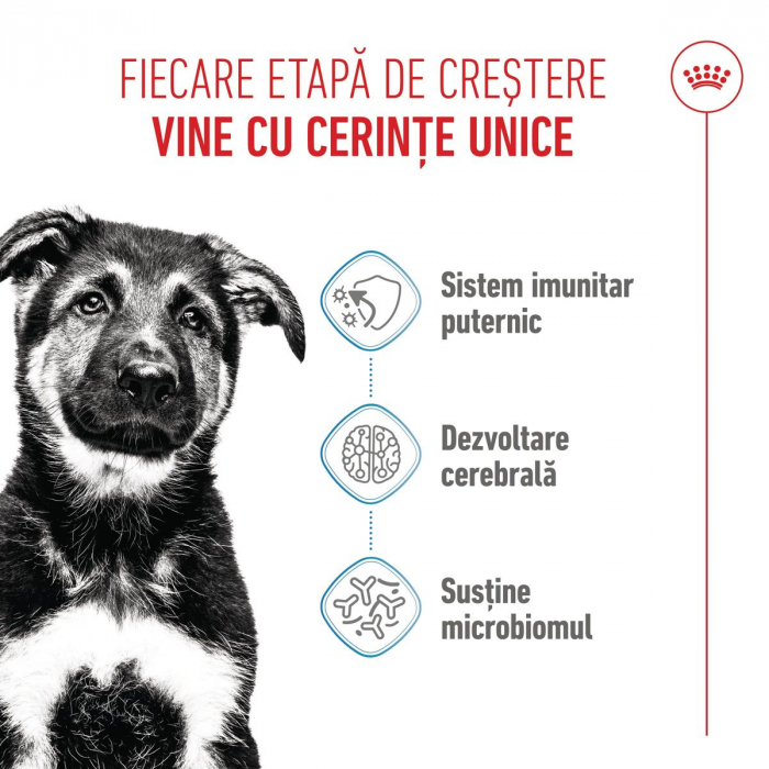 Royal Canin Maxi Puppy hrana uscata caini junior, 12kg [3]