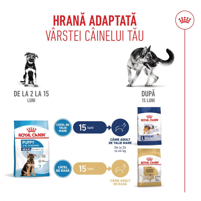 Royal Canin Maxi Puppy hrana uscata caini junior, 12kg [10]