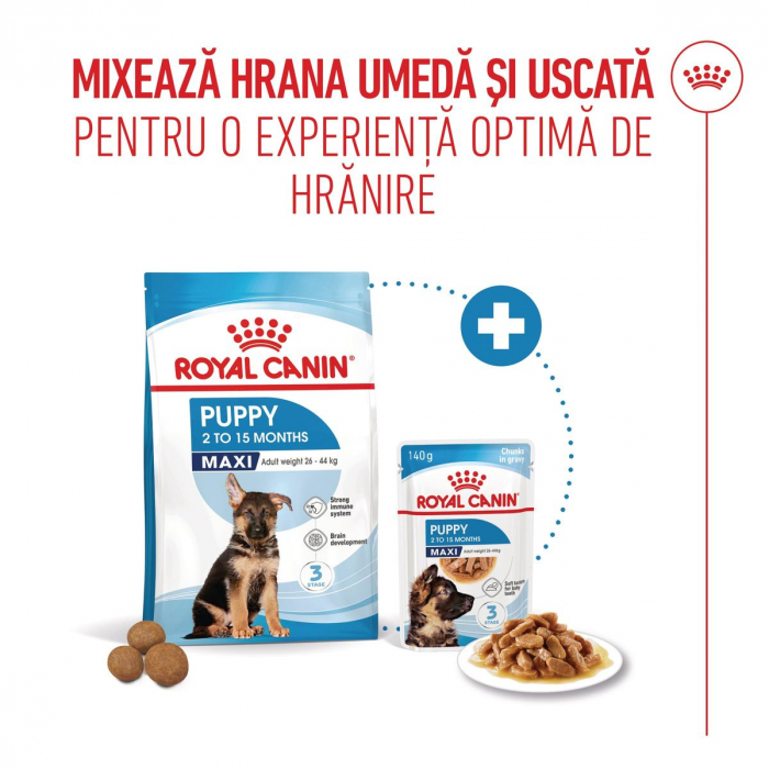 Royal Canin Maxi Puppy hrana uscata caini junior, 12kg [9]