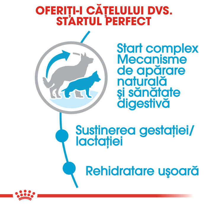 Royal Canin Maxi Starter Mother & Babydog gestatie/ lactatie pui hrana uscata caine, 1 kg [3]
