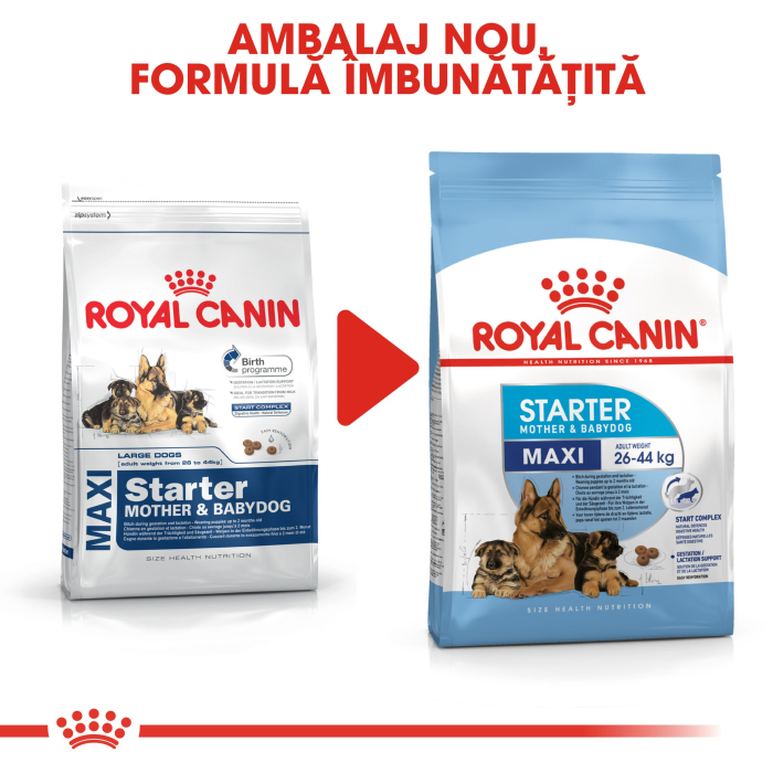 Royal Canin Maxi Starter Mother & Babydog gestatie/ lactatie pui hrana uscata caine, 1 kg [5]