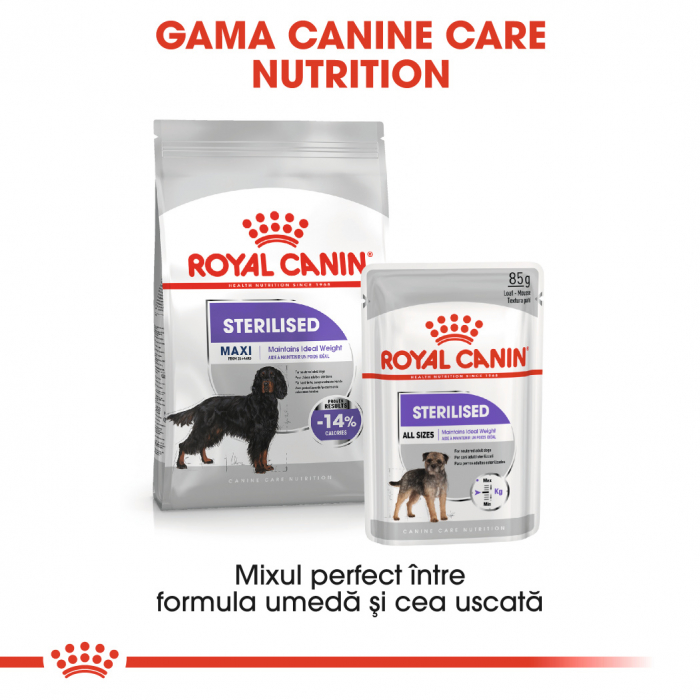 Hrana uscata pentru caini Royal Canin Maxi Sterilised, Adult, 12kg [4]