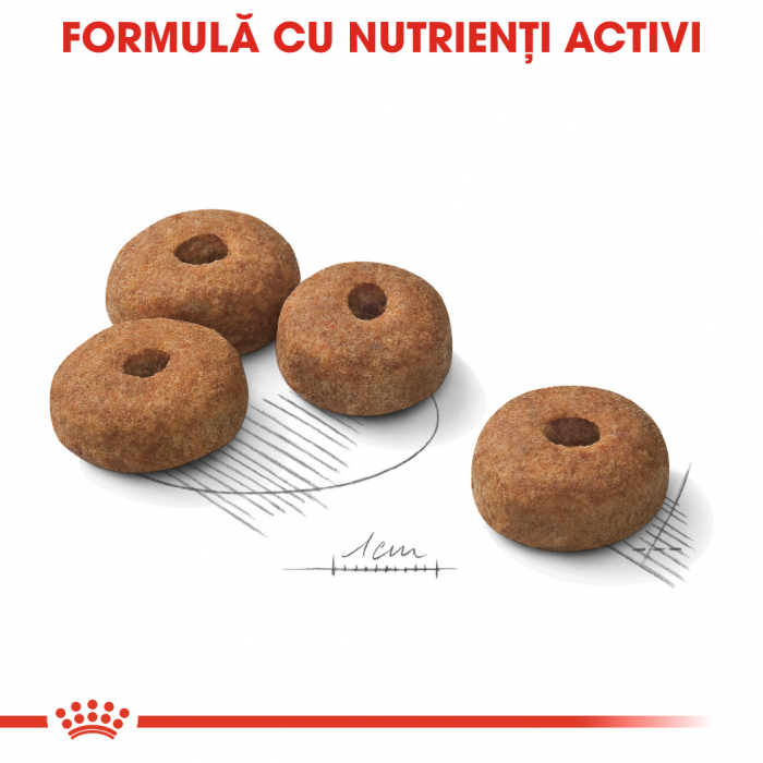 Hrana uscata pentru caini Royal Canin Maxi Sterilised, Adult, 12kg [7]