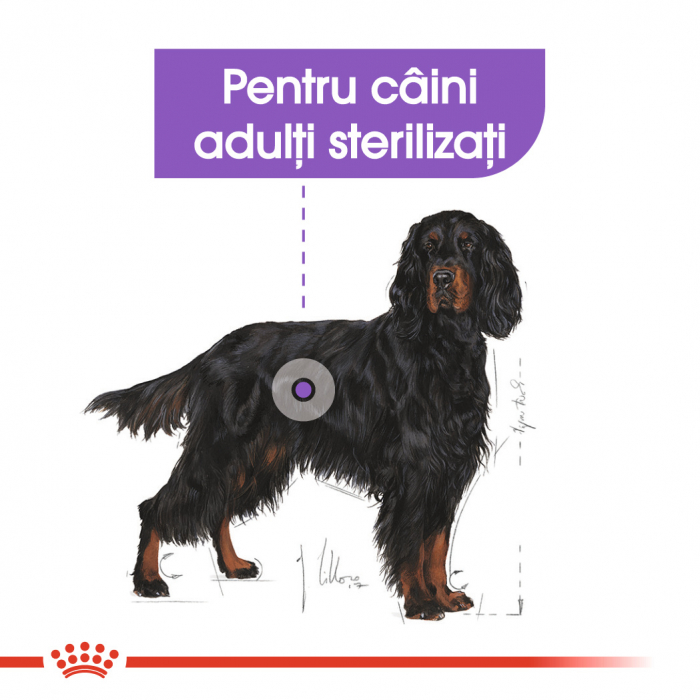 Hrana uscata pentru caini Royal Canin Maxi Sterilised, Adult, 12kg [6]