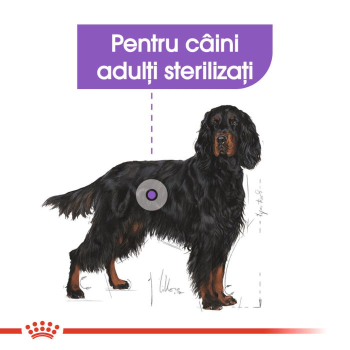 Royal Canin Maxi Sterilised Adult hrana uscata caine sterilizat, 9 kg [3]
