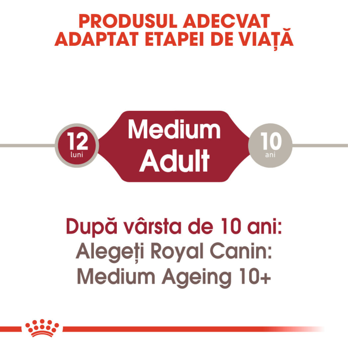 Hrana umeda pentru caini Royal Canin Medium Adult, 10 x 140g [2]
