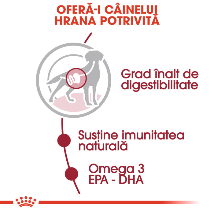 Hrana umeda pentru caini Royal Canin Medium Adult, 10 x 140g [3]