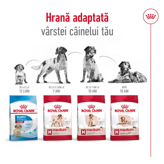 Royal Canin Medium Adult hrana uscata caini, 3kg [10]