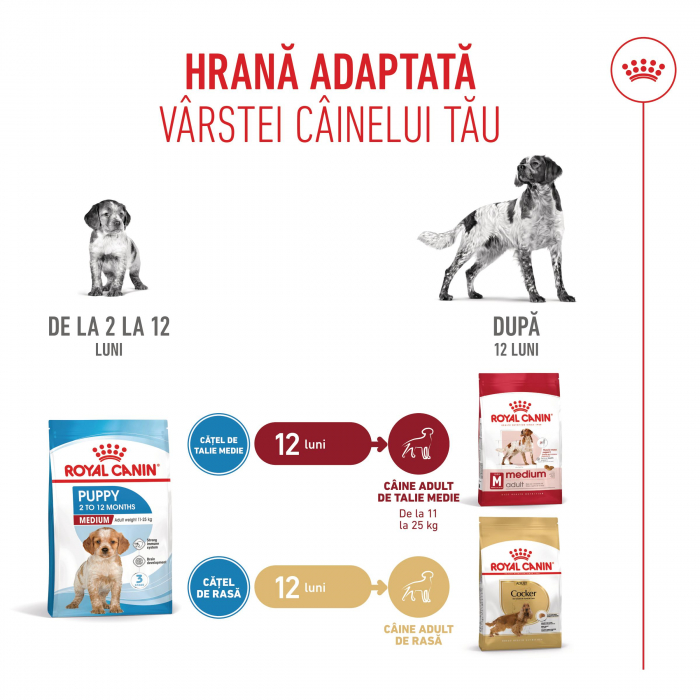 Royal Canin Medium Puppy hrana uscata caine junior, 12kg [6]
