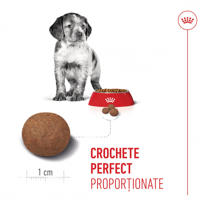 Royal Canin Medium Puppy hrana uscata caine junior, 12kg [7]