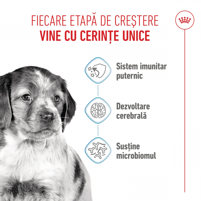 Royal Canin Medium Puppy hrana uscata caine junior, 12kg [4]