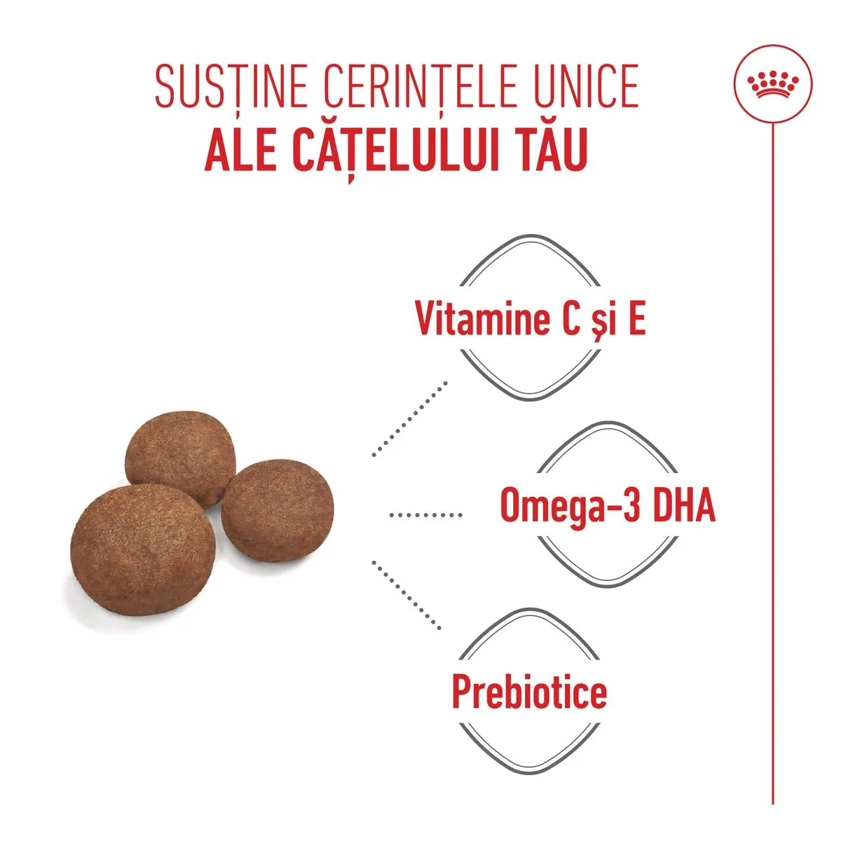 Royal Canin Medium Puppy, hrana uscata caini junior, 3kg [3]