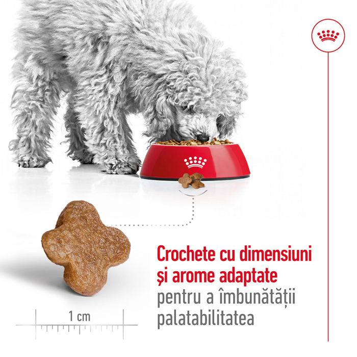 Royal Canin Mini Adult 8+ hrana uscata caine, 2 kg [6]