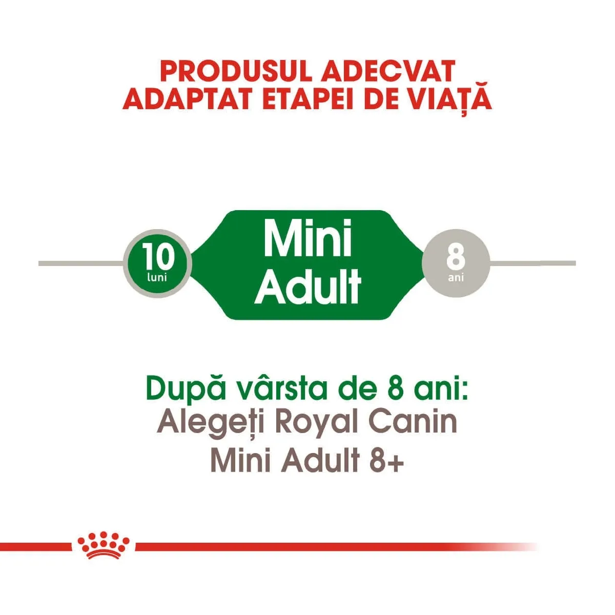 Royal Canin Mini Adult hrana uscata caine, 8 kg + 1 kg [5]