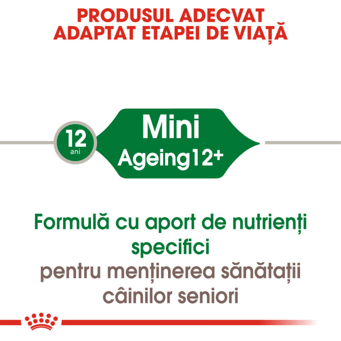 Hrana umeda pentru caini Royal Canin Mini Ageing 12+, 12 x 85g [2]