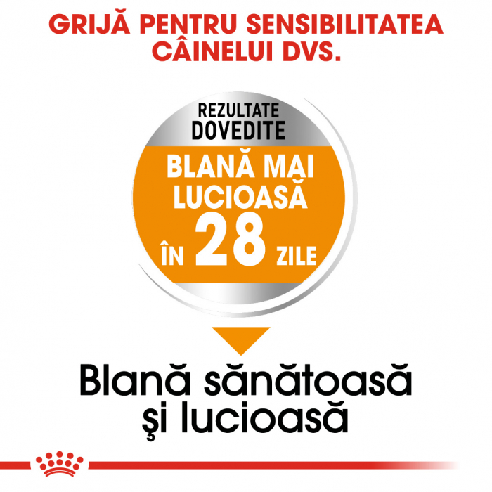 Royal Canin Mini Coat Care Adult hrana uscata caine, blana sanatoasa si lucioasa, 3 kg [4]