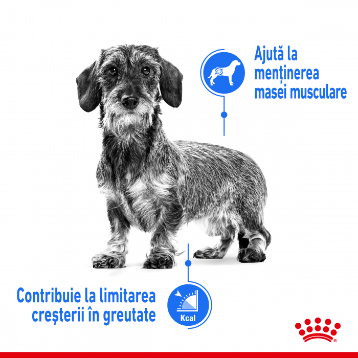 Royal Canin Mini Light Weight Care Adult hrana uscata caine, limitarea cresterii in greutate, 1 kg [6]