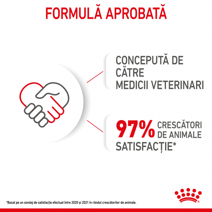 Hrana umeda pentru caini Royal Canin Mini Puppy, Junior, 12 x 85g [5]
