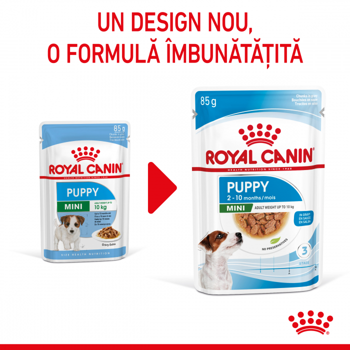 Hrana umeda pentru caini Royal Canin Mini Puppy, Junior, 12 x 85g [3]