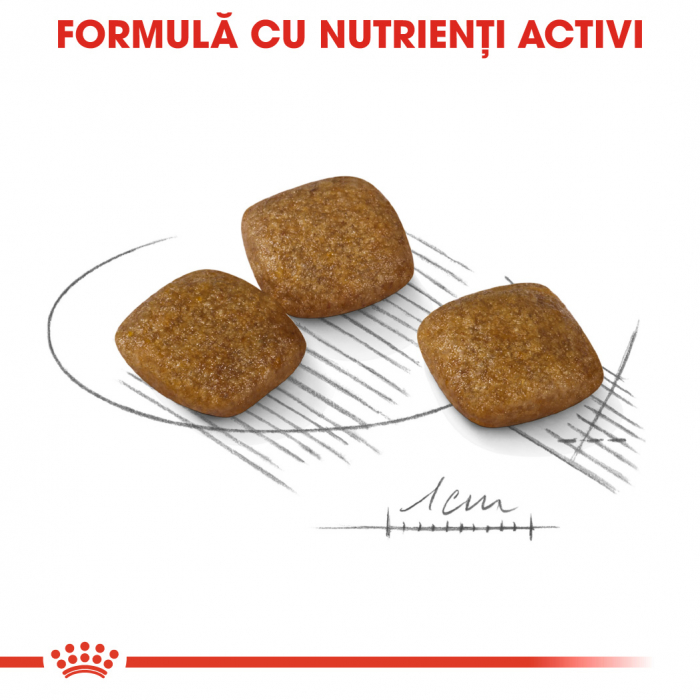 royal-canin-mini-relax-care-adult-hrana-uscata-caine-adaptare-la-schimbari-1-kg [6]
