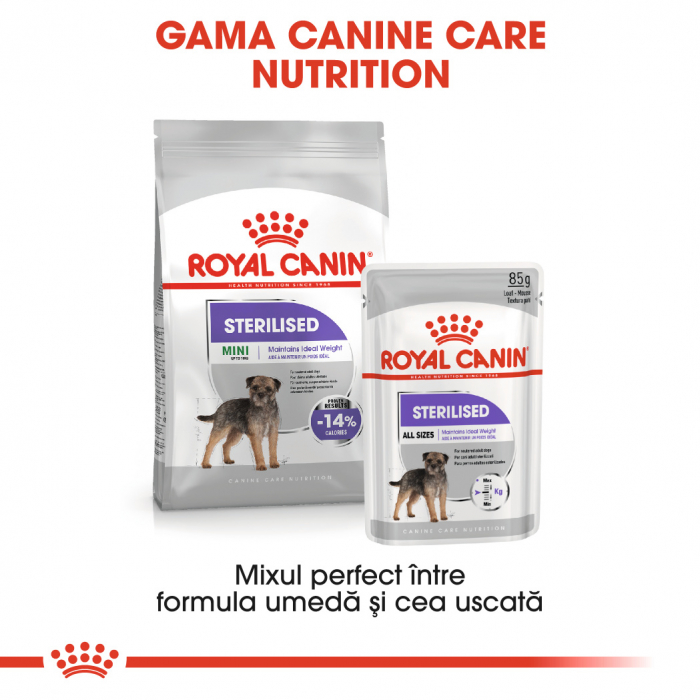 Hrana uscata pentru caini Royal Canin Mini Sterilised, Adult, 8kg [4]
