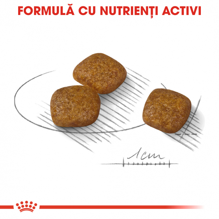 Royal Canin Mini Urinary Care hrana uscata caine, sanatatea tractului urinar, 1 kg [6]