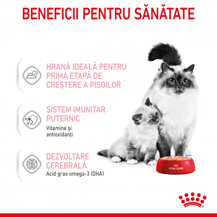 Royal Canin Mother & BabyCat hrana umeda pisica, mama si puiul (textura spumoasa), 195 g [5]