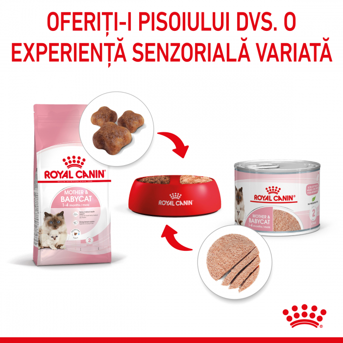 Royal Canin Mother & BabyCat hrana umeda pisica, mama si puiul (textura spumoasa), 195 g [7]