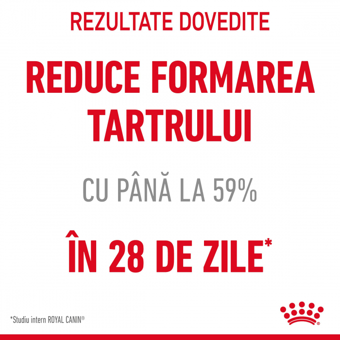 Royal Canin Dental Care Adult hrana uscata pisica, reducerea formarii tartrului, 1.5 kg [4]