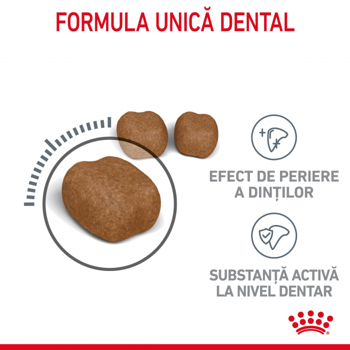 Royal Canin Dental Care Adult hrana uscata pisica, reducerea formarii tartrului, 400 g [6]