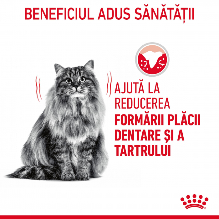 Royal Canin Dental Care Adult hrana uscata pisica, reducerea formarii tartrului, 400 g [5]