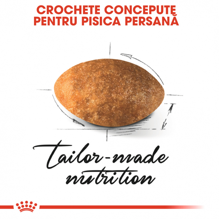 Royal Canin Persian Adult hrana uscata pisica, 400 g [5]