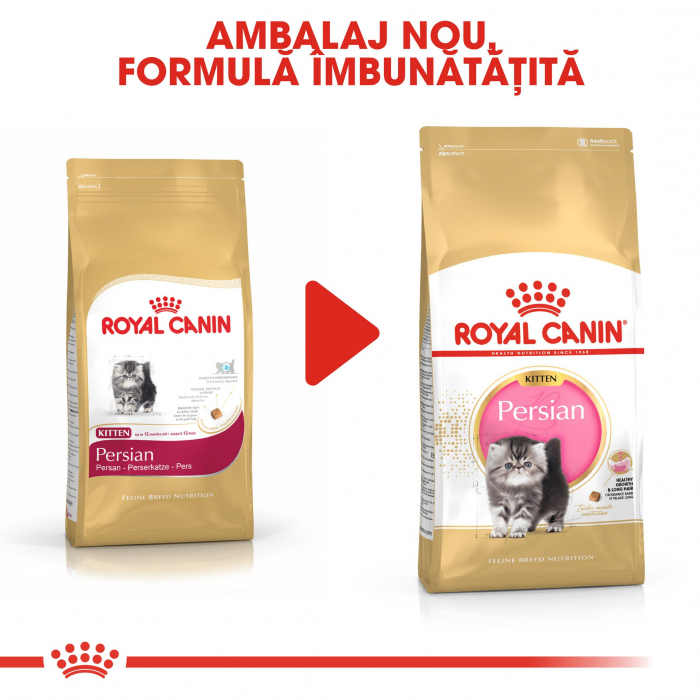 Royal Canin Persian Kitten hrana uscata pisica junior, 400 g [3]