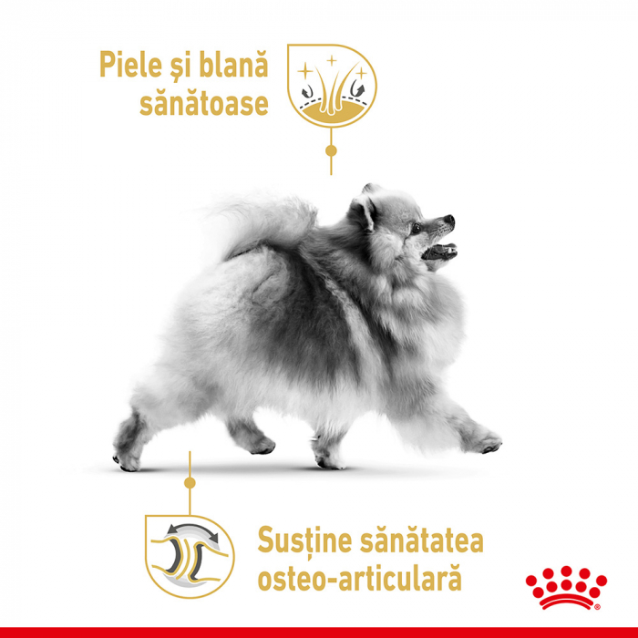 Royal Canin Pomeranian Adult, hrana uscata caini, 1.5kg [5]