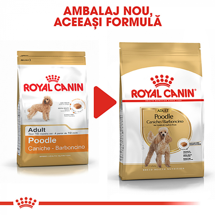 Royal Canin Poodle Adult hrana uscata caine, 1.5 kg [3]