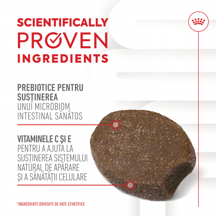 Royal Canin Puppy Supliment pentru imunitate si digestie, 100g [6]