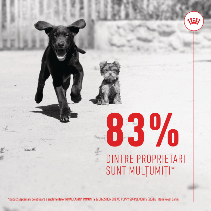 Royal Canin Puppy Supliment pentru imunitate si digestie, 100g [4]