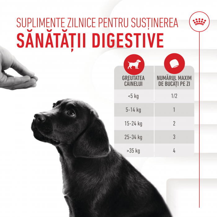 Royal Canin Puppy Supliment pentru imunitate si digestie, 100g [7]