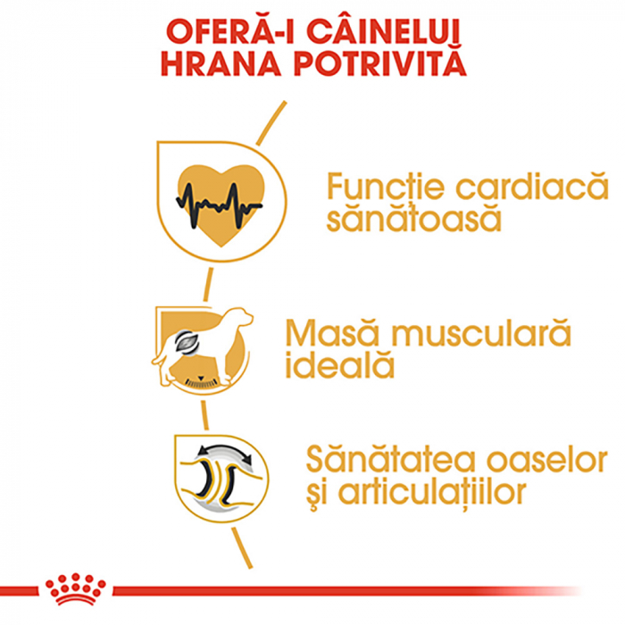 Hrana uscata pentru caini Royal Canin Rottweiler Adult, 3kg [4]