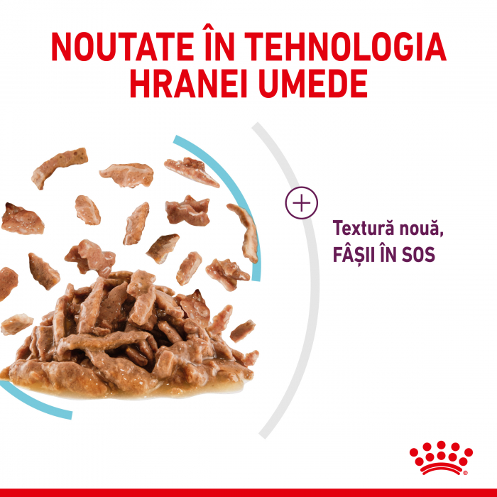 Hrana umeda pentru pisici Royal Canin Sensory Feel, 12 x 85g [6]