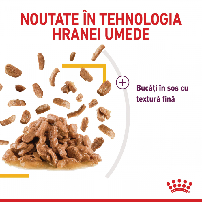 Royal Canin Sensory Taste, hrana umeda pisici, stimularea gustului (in sos), 12 x 85 g [5]
