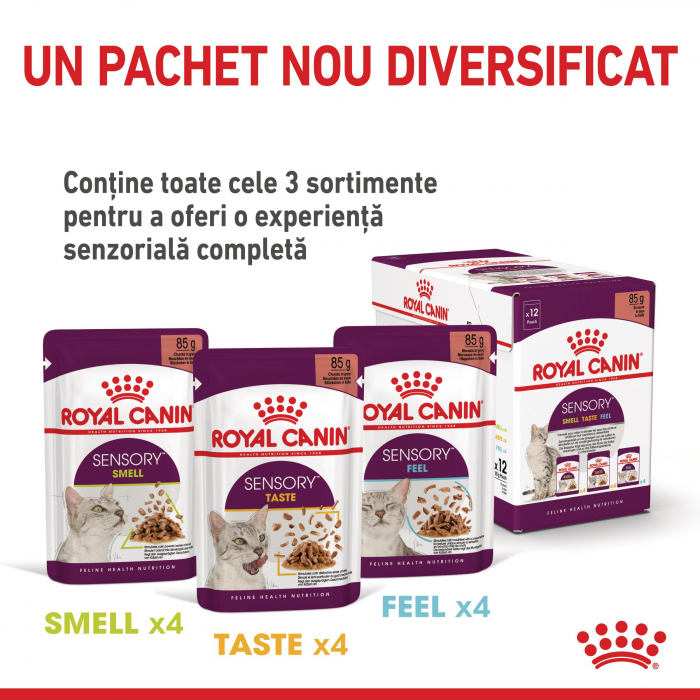 Royal Canin Sensory Taste, hrana umeda pisici, stimularea gustului (in sos), 12 x 85 g [6]