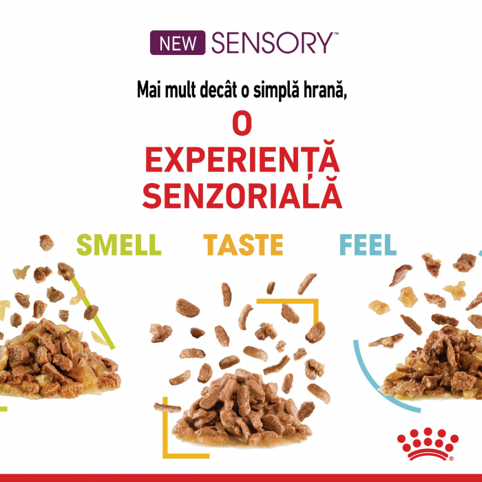Royal Canin Sensory Taste, hrana umeda pisici, stimularea gustului (in sos), 12 x 85 g [4]