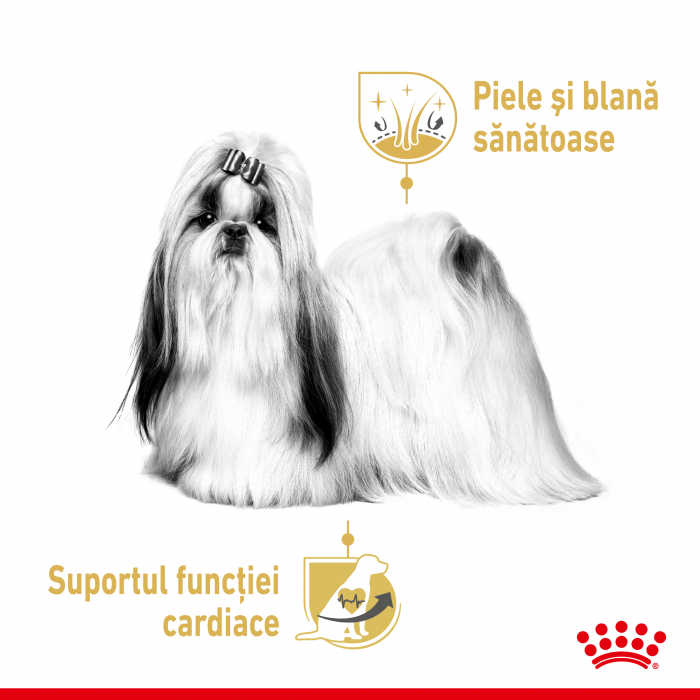Hrana umeda pentru caini Royal Canin Shih Tzu Adult, 12 x 85g [4]