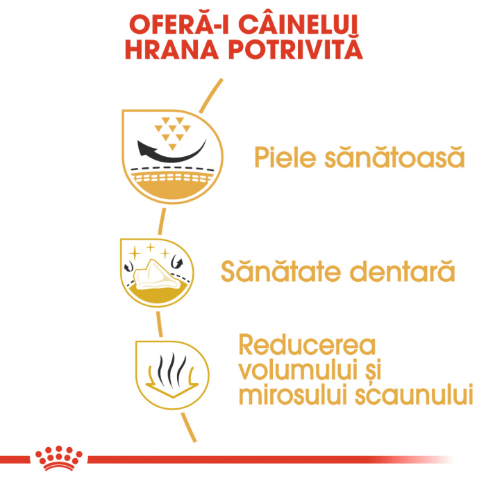 Royal Canin Shih Tzu Adult hrana uscata caine, 3 kg [4]