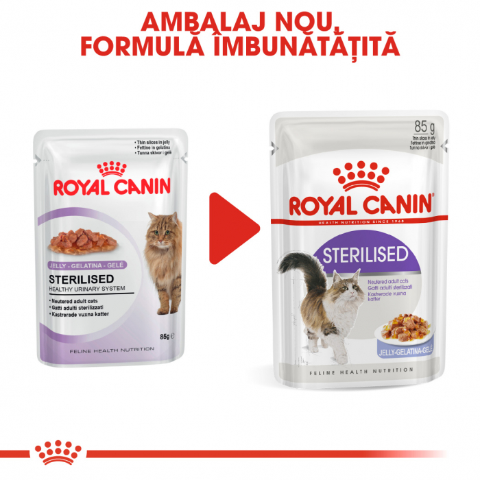 Royal Canin Sterilised Adult hrana umeda pisica sterilizata (in aspic), 12 x 85 g [3]