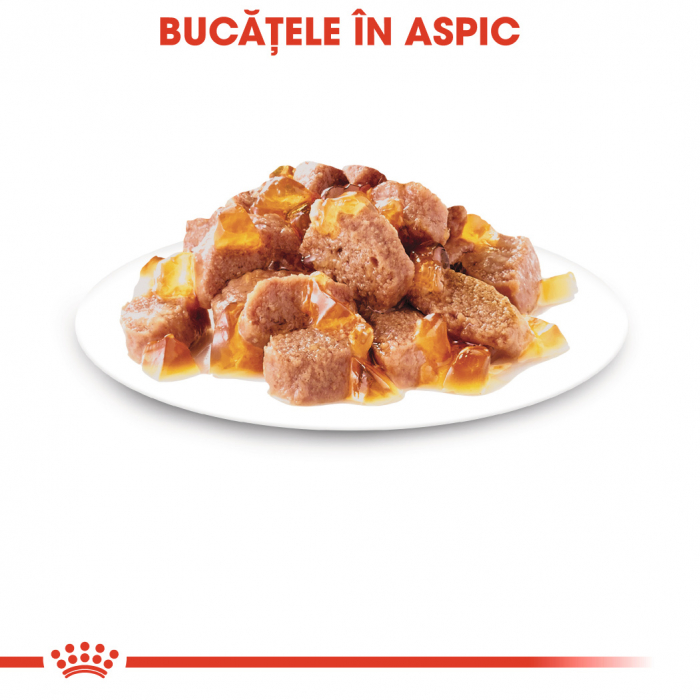 Royal Canin Sterilised Adult hrana umeda pisica sterilizata (in aspic), 12 x 85 g [5]