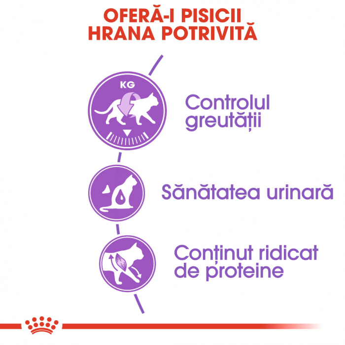Royal Canin Sterilised Adult hrana uscata pisica sterilizata, 400g [6]