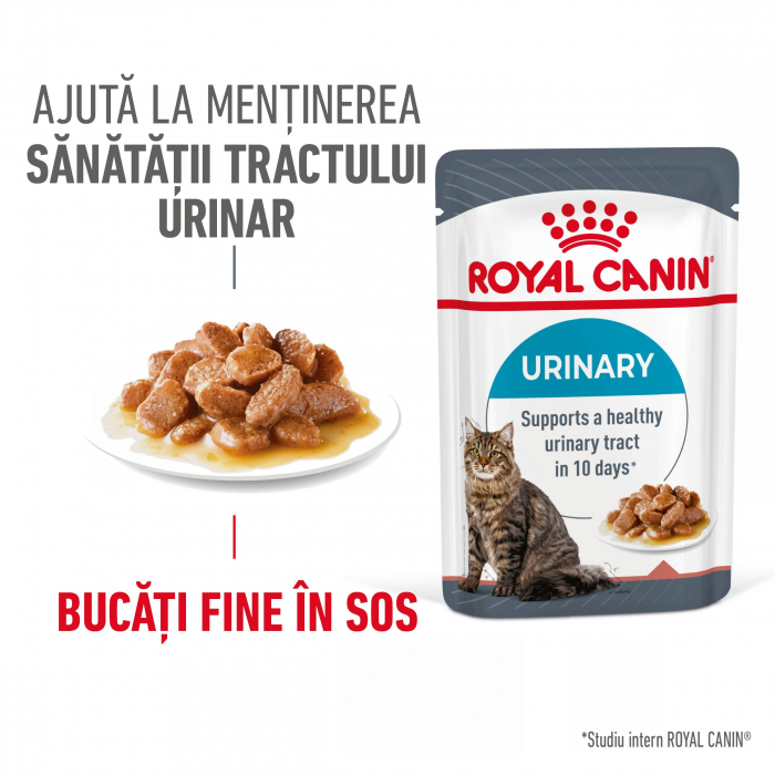Hrana umeda pentru pisici Royal Canin Urinary Care Adult, 12 x 85g